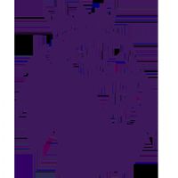 Ӣ�� �Ƕ�vs������20251005