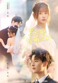 ������ղ�����